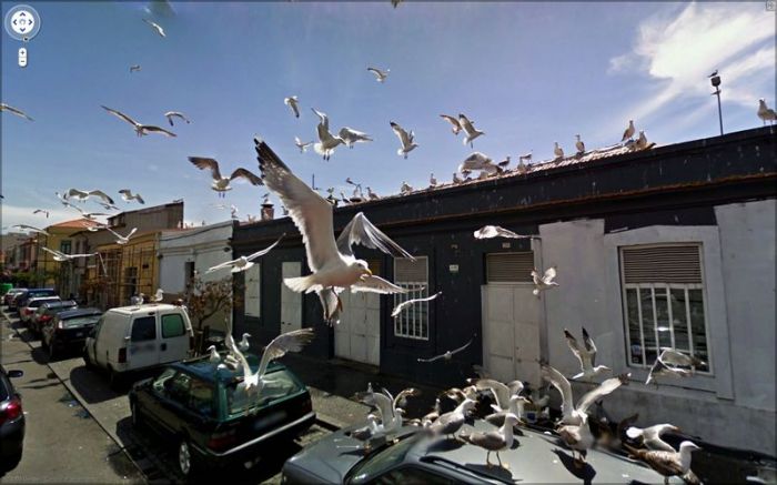 Google Street View.  3. (41 )