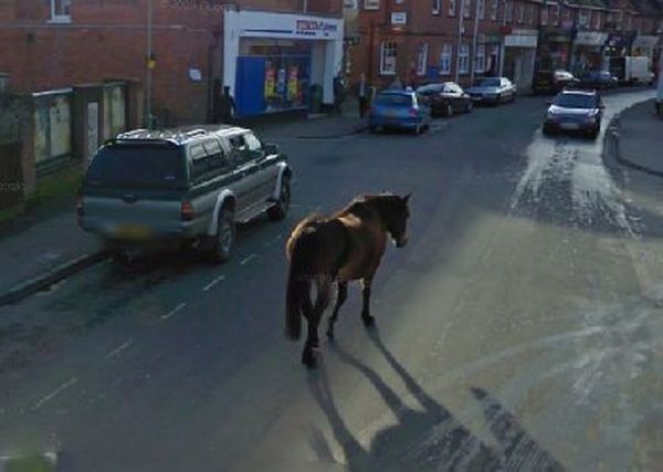    Google Street View (40 )