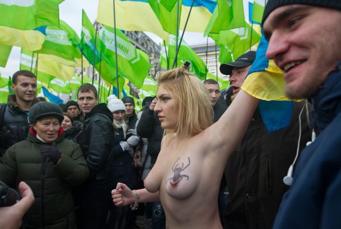 FEMEN     (35  )