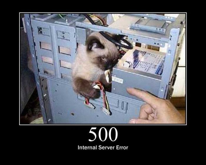 Ошибки сервера по-кошачьи (15 фото)