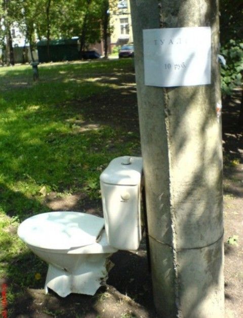 Подборка туалетных креативов (21 фото)