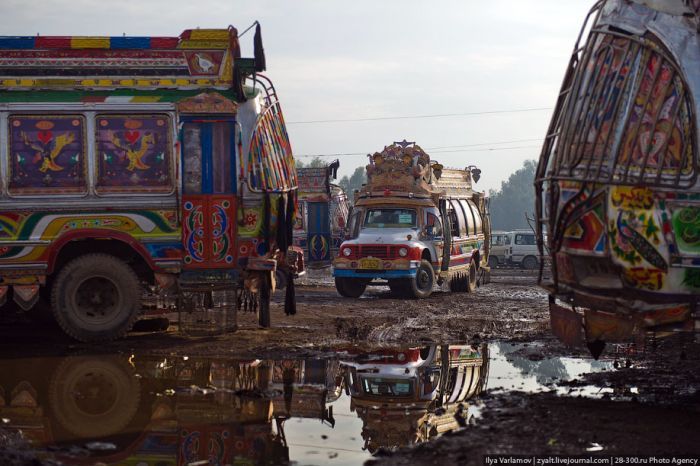 Автобусы Пакистана (40 фото)