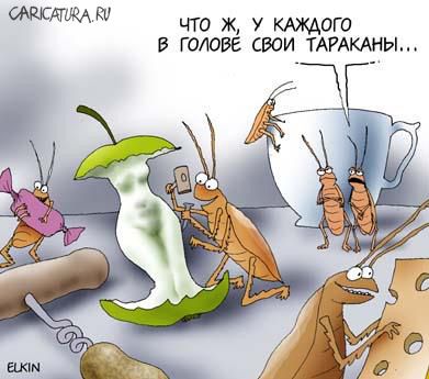 Гадание на таракане (4 фото)
