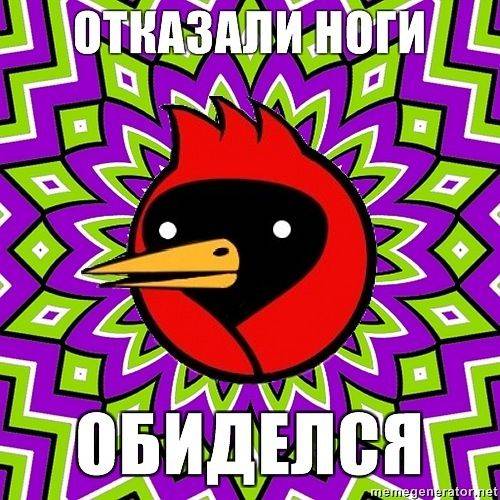 Омская птица (31 картинка)