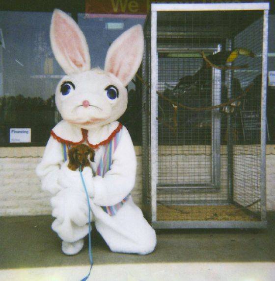 Забавные кролики (69 фото)