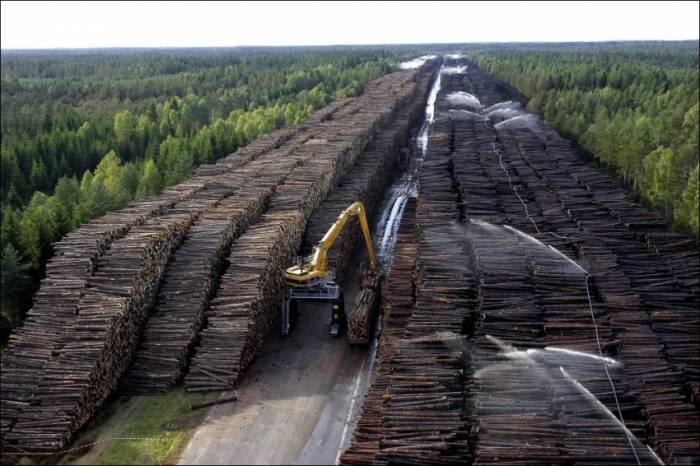 Самое большое в мире хранилище древесины (6 фото)