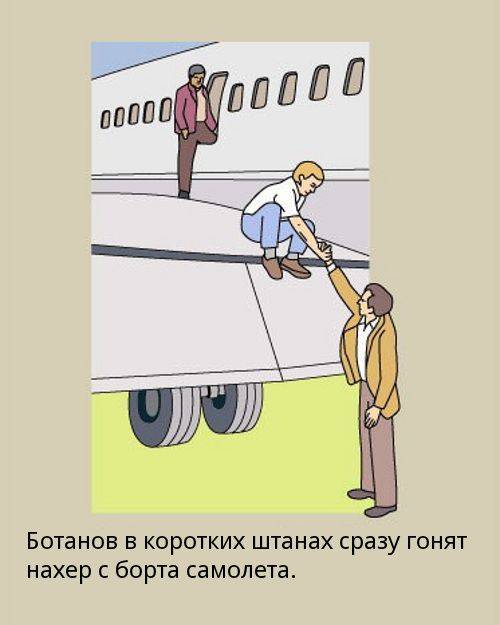 Толкование правил поведения в самолете (18 картинок)