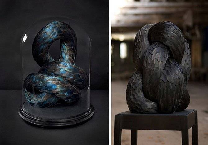 Невероятные скульптуры из перьев птиц (13 фото)