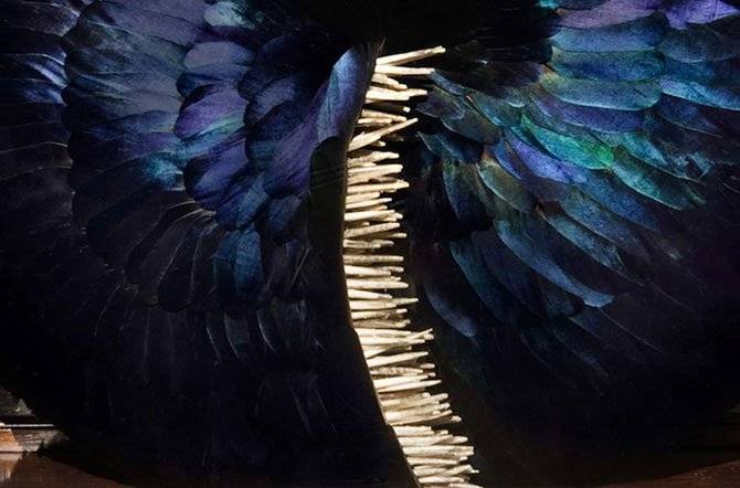 Невероятные скульптуры из перьев птиц (13 фото)