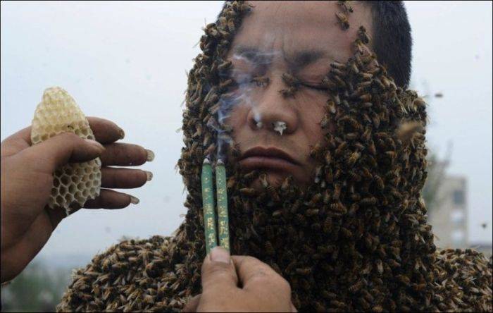 Костюм из живых пчел (3 фото)