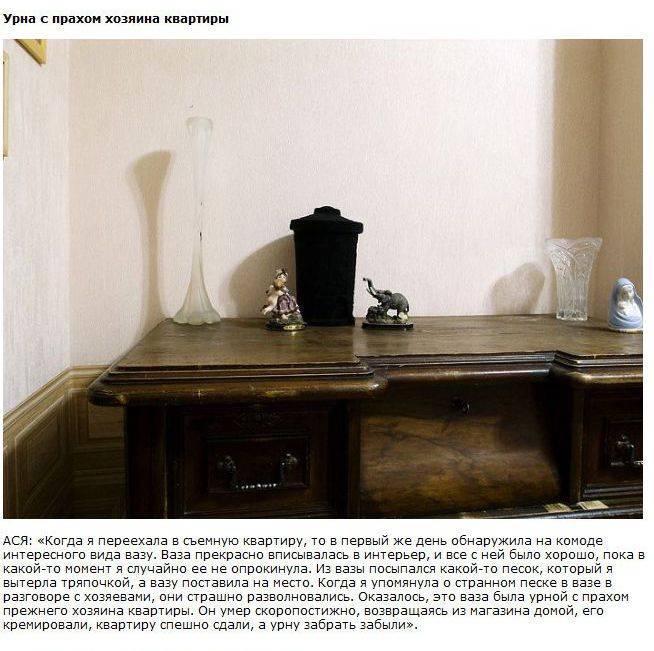 Проблемы арендаторов квартир (12 фото)