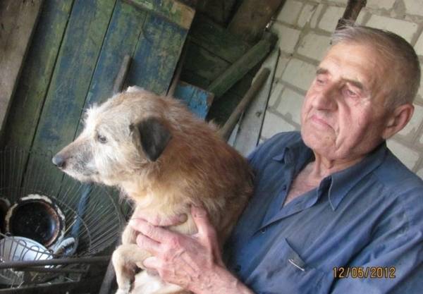 Человек с большой душой: пенсионер и собачий приют (5 фото)