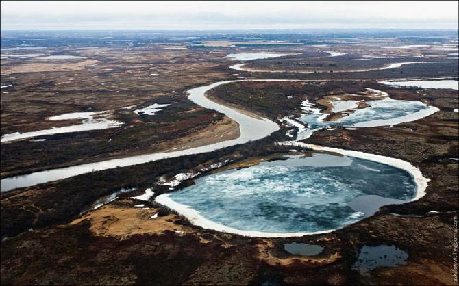 Арктика 2012 (29 фото)