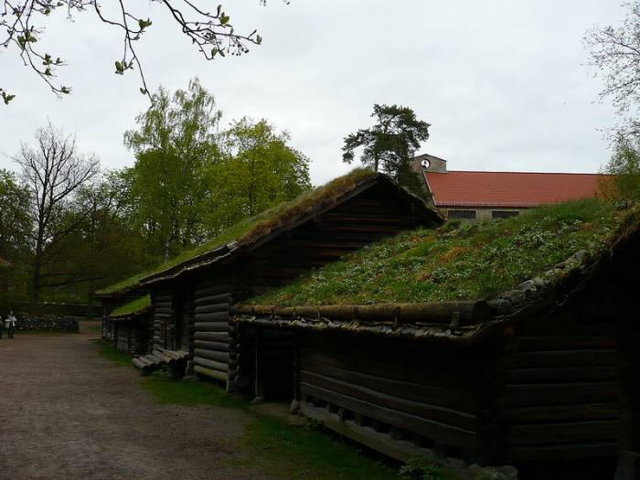 Норвежские травяные крыши (40 фото)