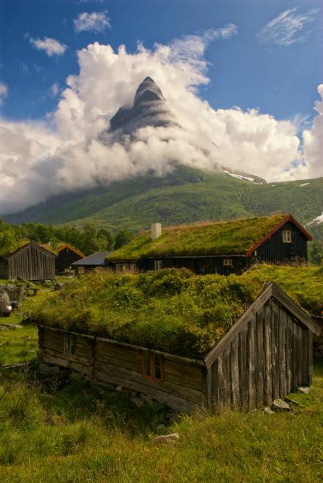 Норвежские травяные крыши (40 фото)