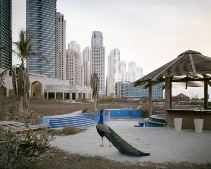 Постапокалиптический Дубай от Ричарда Алленби-Пратта (14 фото)