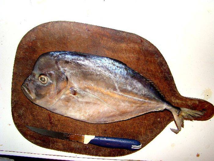Мошенничество рыбной промышленности (13 фото)