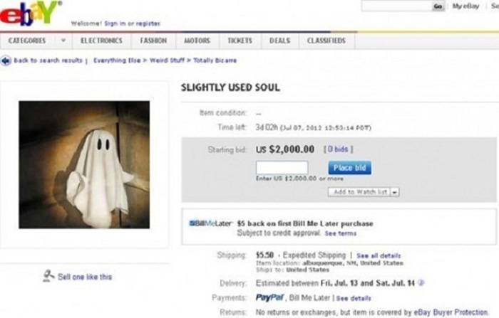 Американка выставила на "Ebay" свою душу... (2 фото)
