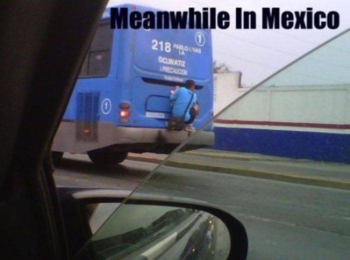 Такое бывает только в Мексике (42 фото)