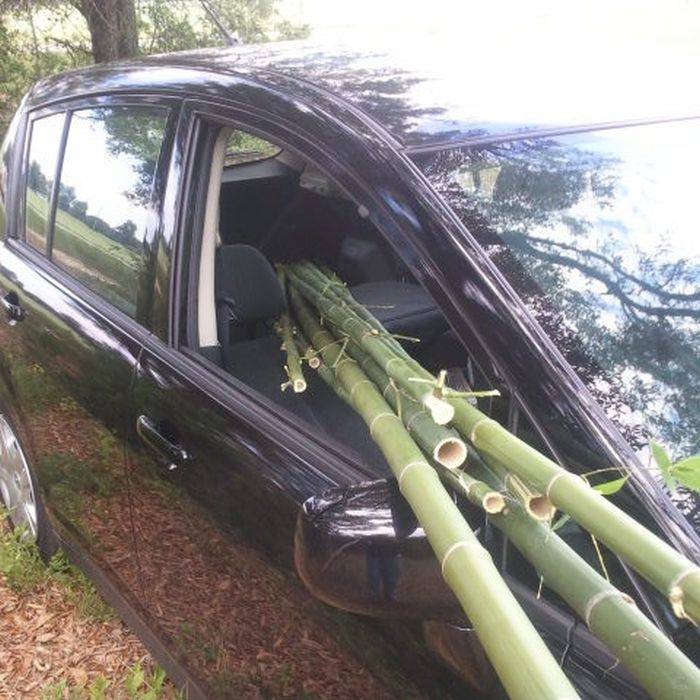 Велик из бамбука своими руками (22 фото)