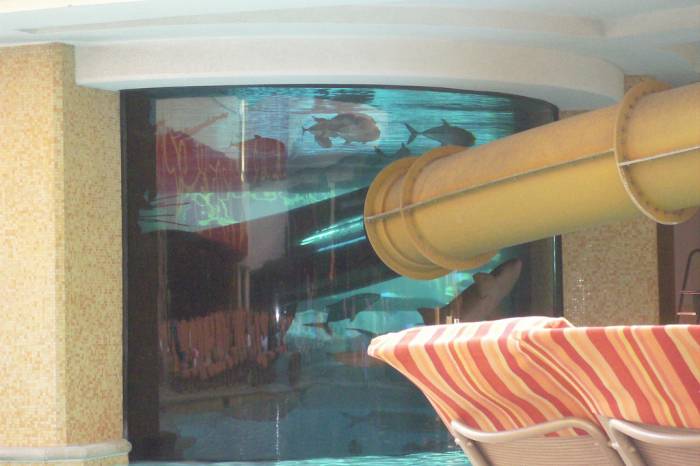 Водные горки в бассейне с акулами в отеле Golden Nugget в Las Vegas (16 фото+1 видео)