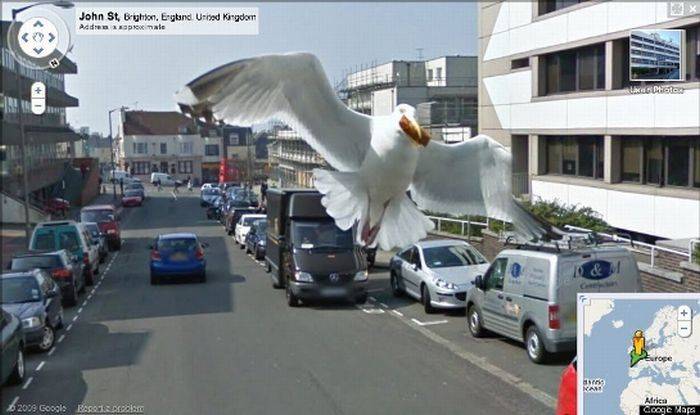   Google Street View (9 )