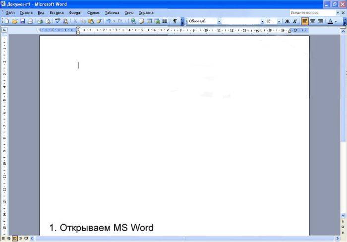     MS Word (6 )