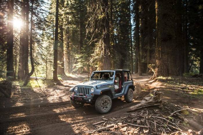 Wrangler Rubicon -   Wrangler    Jeep (27 )