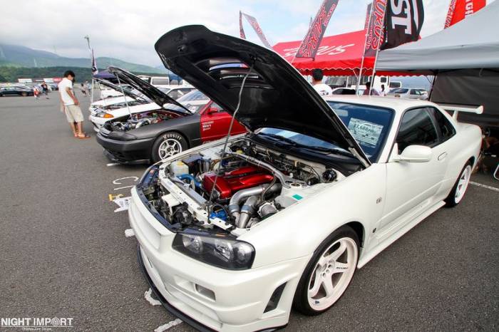    Skyline   (80 )