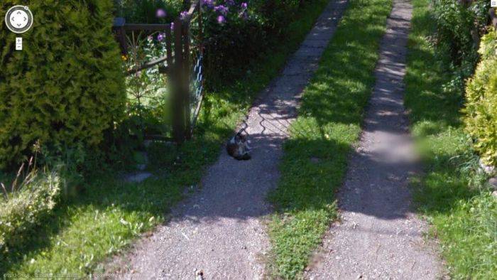   Google Maps Street View   (47 )