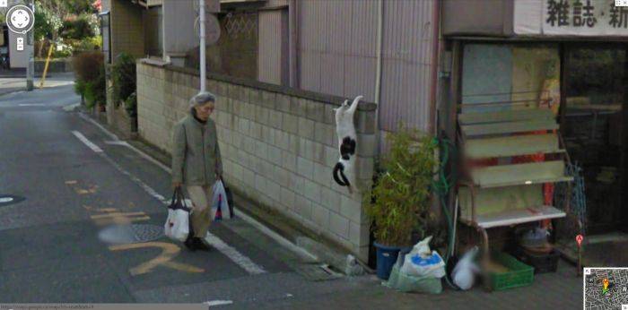     Google Street View (37 )