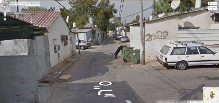     Google Street View (37 )