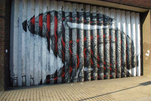     Roa (7 )