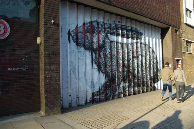     Roa (7 )