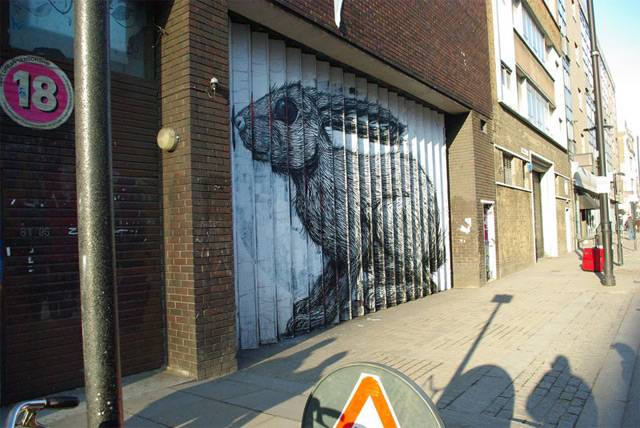     Roa (7 )