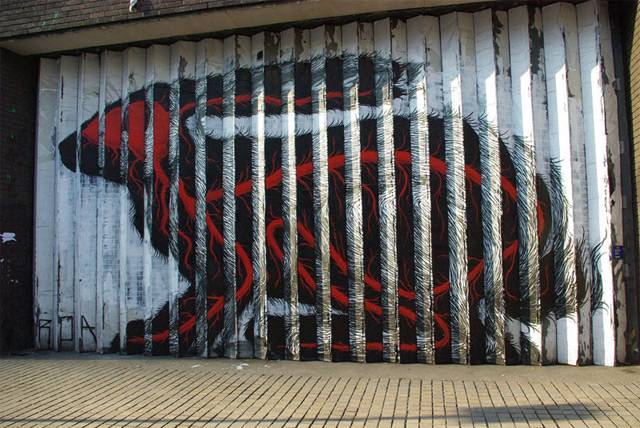     Roa (7 )