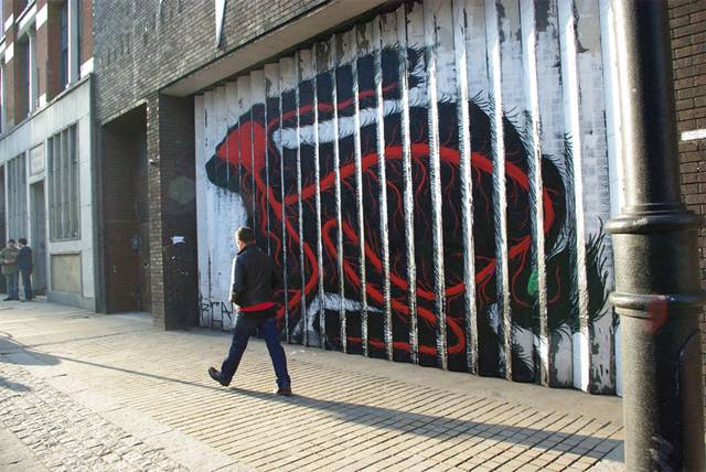     Roa (7 )