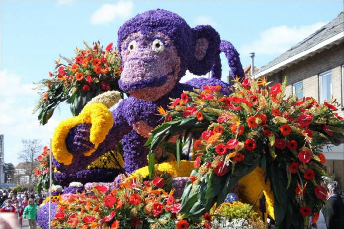 Bloemencorso      (26 )