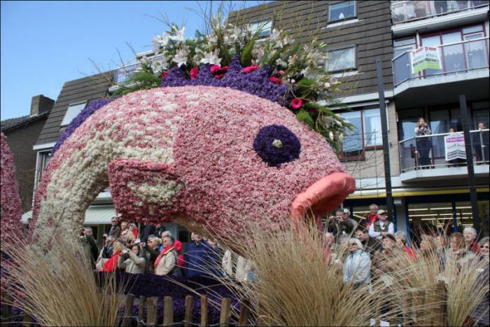 Bloemencorso      (26 )