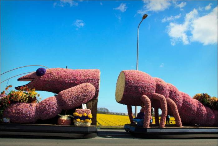 Bloemencorso      (26 )