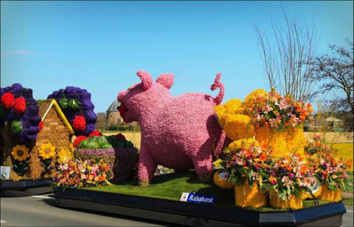 Bloemencorso      (26 )