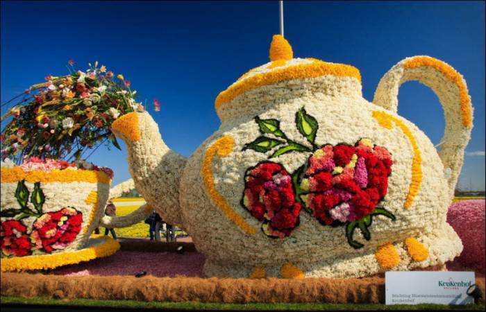 Bloemencorso      (26 )