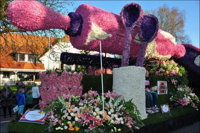 Bloemencorso      (26 )