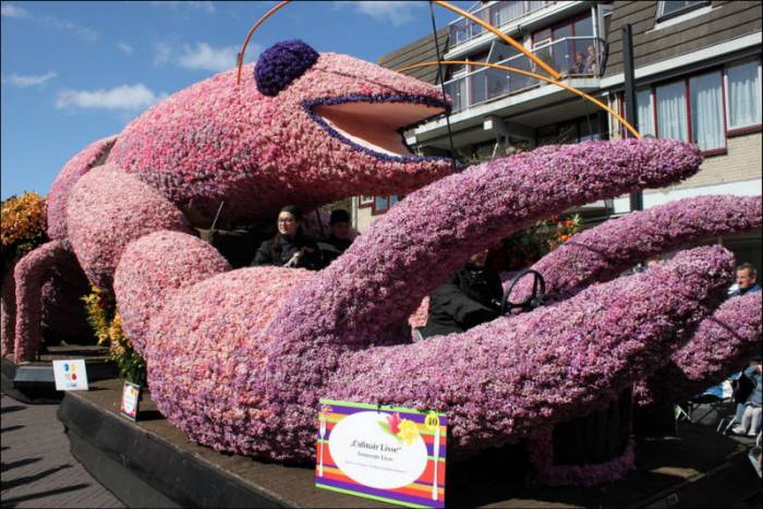 Bloemencorso      (26 )