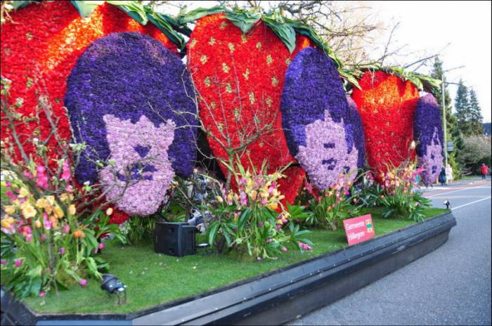 Bloemencorso      (26 )