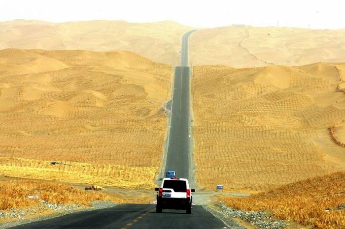 Tarim Desert Highway -      (8 )