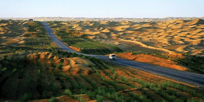 Tarim Desert Highway -      (8 )