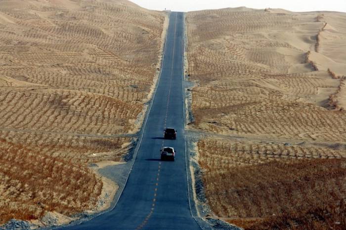 Tarim Desert Highway -      (8 )