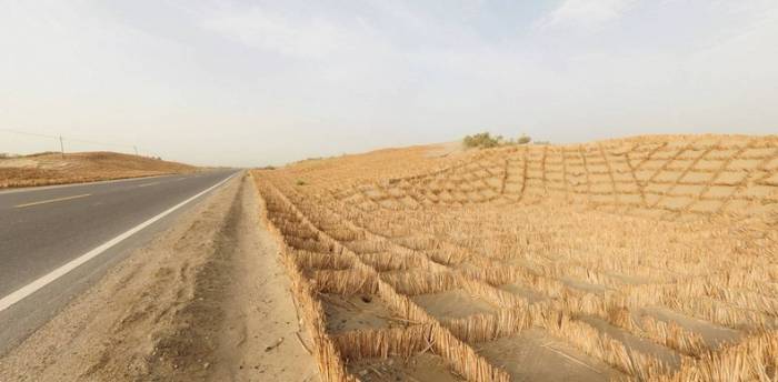 Tarim Desert Highway -      (8 )