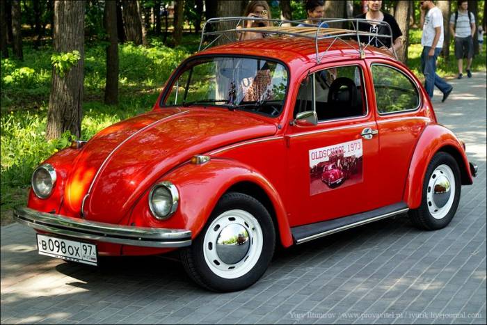   VW Beetle (64 )